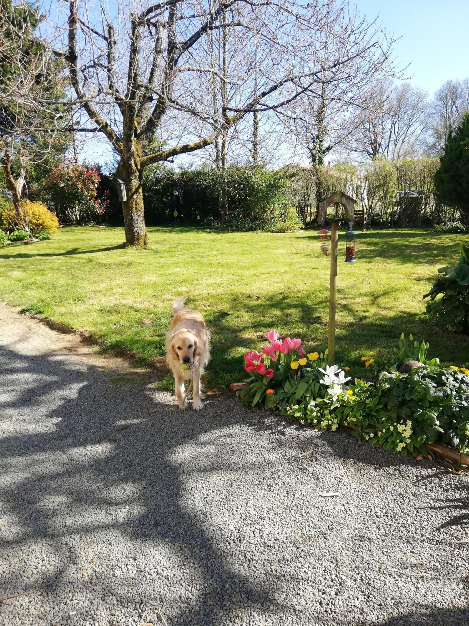 Papillons B&B - Beauty, Comfort And Peace 25 Mins From Puy Du Fou Montournais Exterior photo
