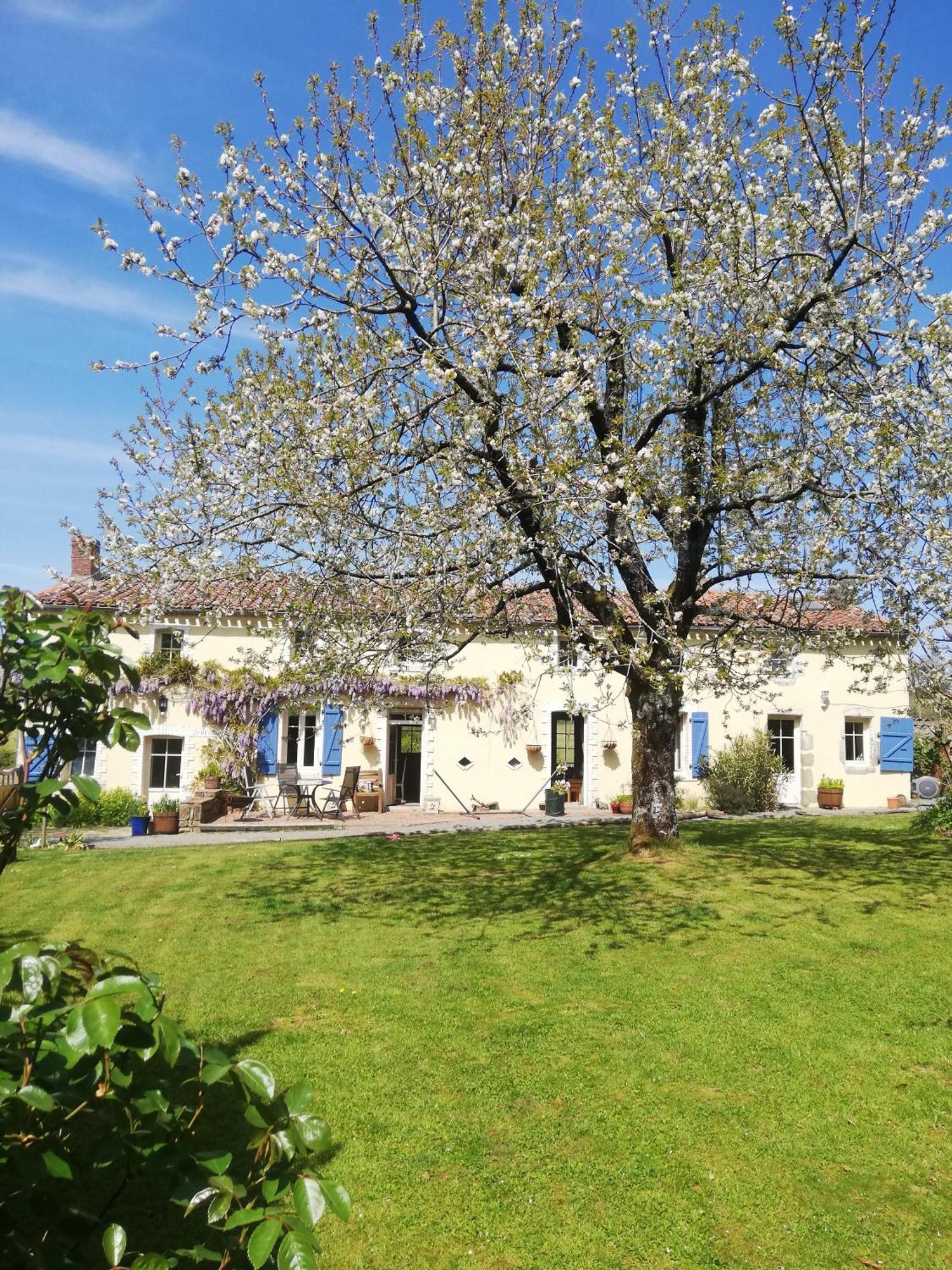 Papillons B&B - Beauty, Comfort And Peace 25 Mins From Puy Du Fou Montournais Exterior photo